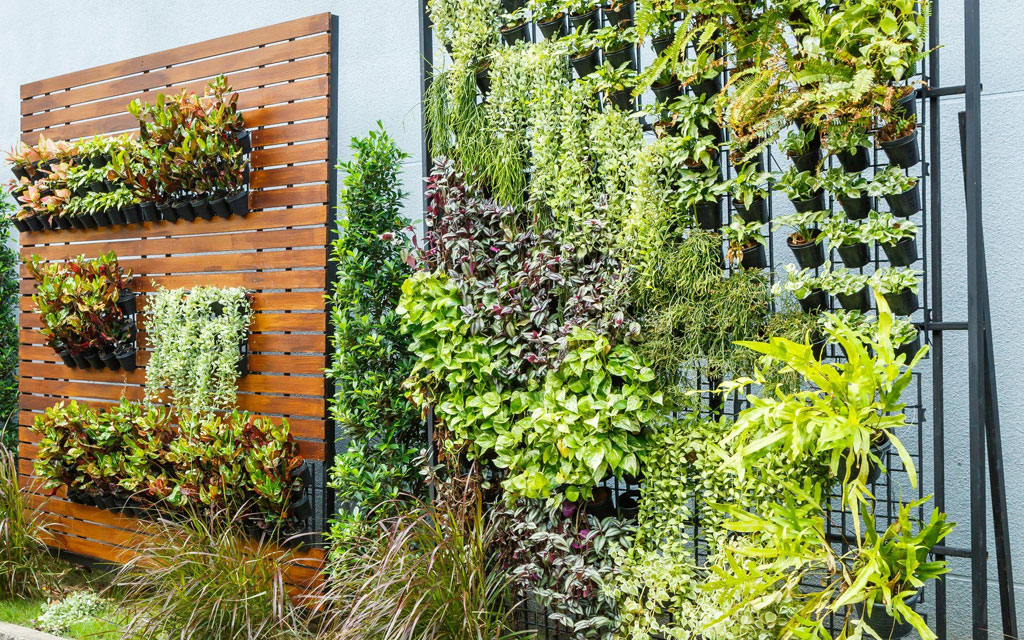 Aprende a crear un jardín vertical: paso a paso y consejos expertos