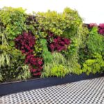 Beneficios de los jardines verticales para tu salud y bienestar