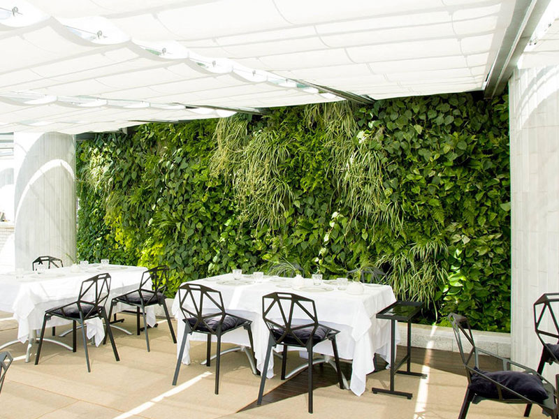 Consejos expertos para jardín vertical en restaurante: optimiza espacios