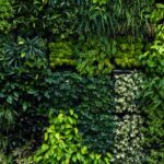 Consejos para cuidar jardines verticales y lograr vegetación exuberante en exteriores