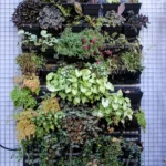 Consejos para cuidar plantas en jardines verticales al aire libre