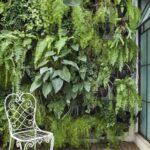 Consejos para un jardín vertical impresionante: combina plantas exteriores