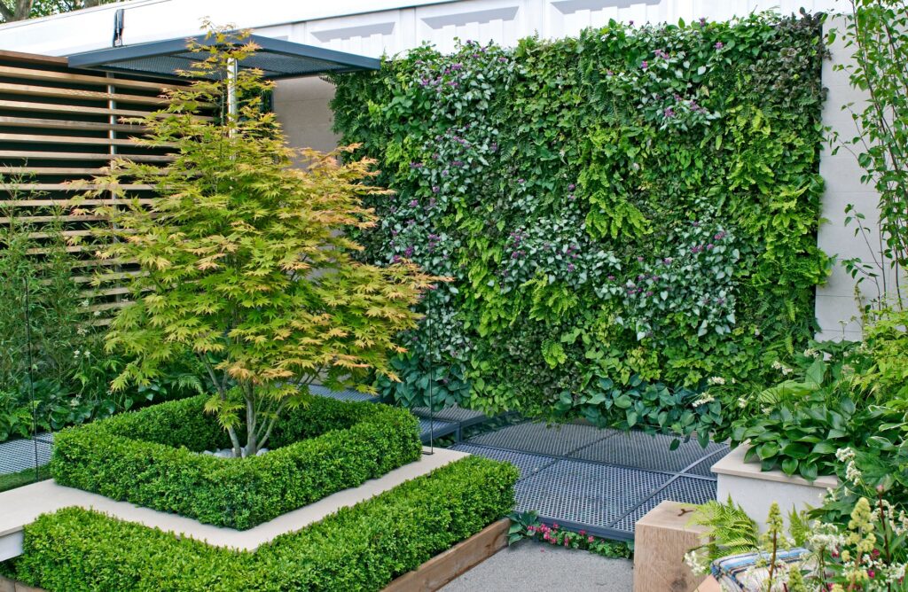 Consejos prácticos para el cuidado de tu jardín vertical en exteriores
