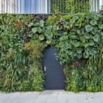 Construye un increíble jardín vertical en tu fachada: Guía paso a paso