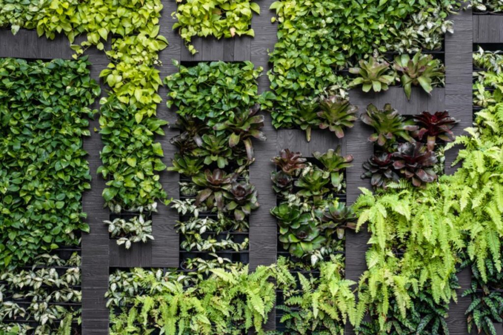 Crea un jardín vertical costero y refrescante: ¡Descubre cómo!