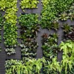 Crea un jardín vertical costero y refrescante: ¡Descubre cómo!