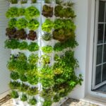 Crea un jardín vertical en poco tiempo: consejos para tener un espacio verde desde cero