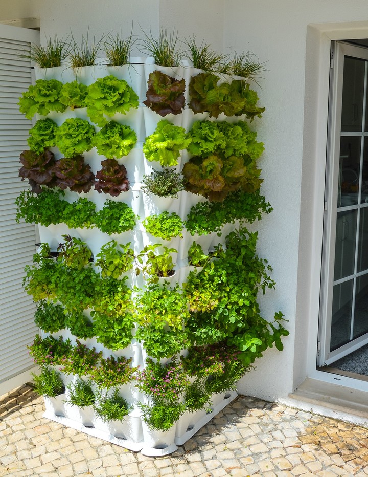 Crea un jardín vertical en poco tiempo: consejos para tener un espacio verde desde cero