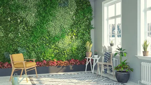 Crea un oasis en casa con un jardín vertical: verde, aire puro y bienestar garantizado