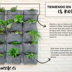 Crear jardines verticales autosostenibles con riego eficiente: descubre cómo hacerlo