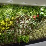 Cuidado de jardín vertical sostenible: Claves para un oasis verde