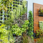 Cuidados esenciales para un jardín vertical hermoso y saludable
