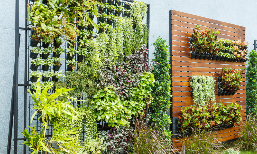 Cuidados esenciales para un jardín vertical hermoso y saludable