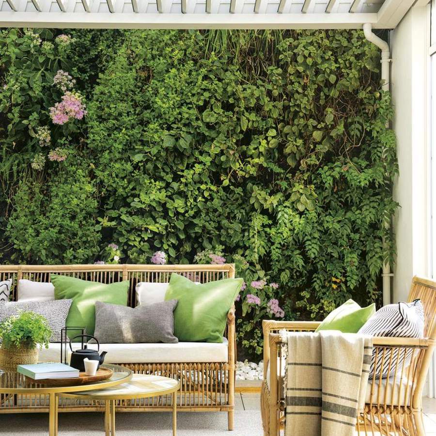 Decora exteriores con estilo: ideas para combinar tu jardín vertical