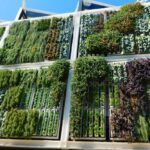 Desafíos y soluciones para un jardín vertical exitoso