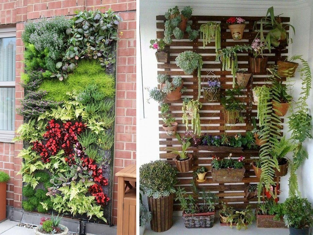 Descubre cómo crear un impresionante jardín vertical en tu hogar