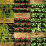 Descubre cómo crear un jardín vertical en casa con el espacio justo