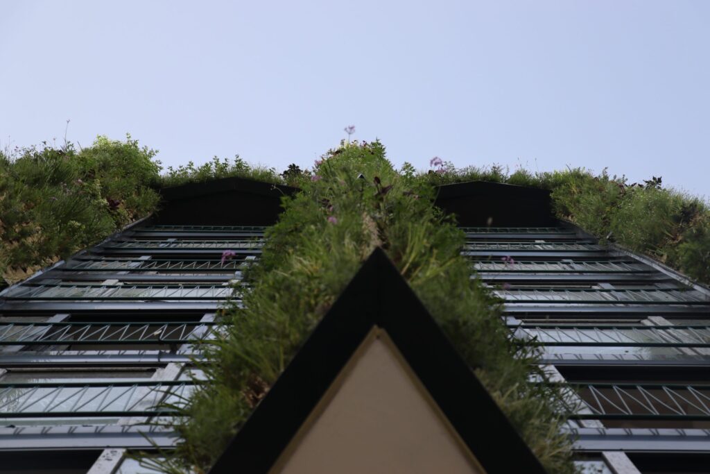 Descubre cómo los jardines verticales mejoran el aire: beneficios y funcionamiento