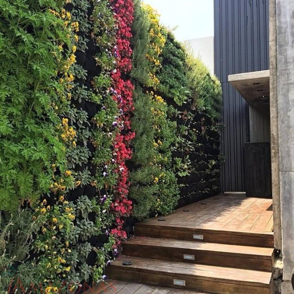 Descubre las mejores plantas para jardines verticales innovadores