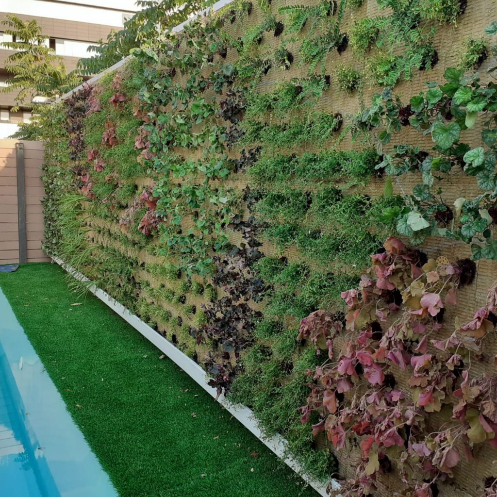 Diseño de jardines verticales: Claves para un espacio verde único