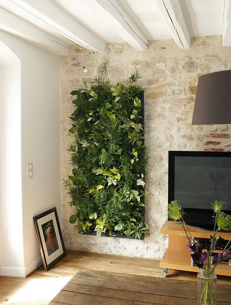 Disfruta de la naturaleza en casa con un jardín vertical en tu apartamento