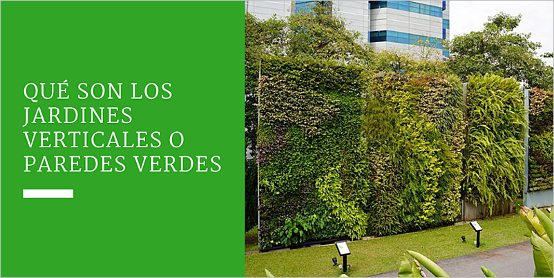 Evita errores en jardines verticales | Guía práctica y útil