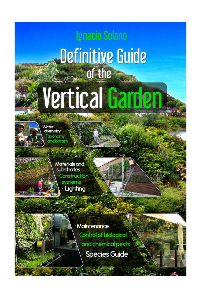 Factores clave para el éxito de un jardín vertical: guía completa