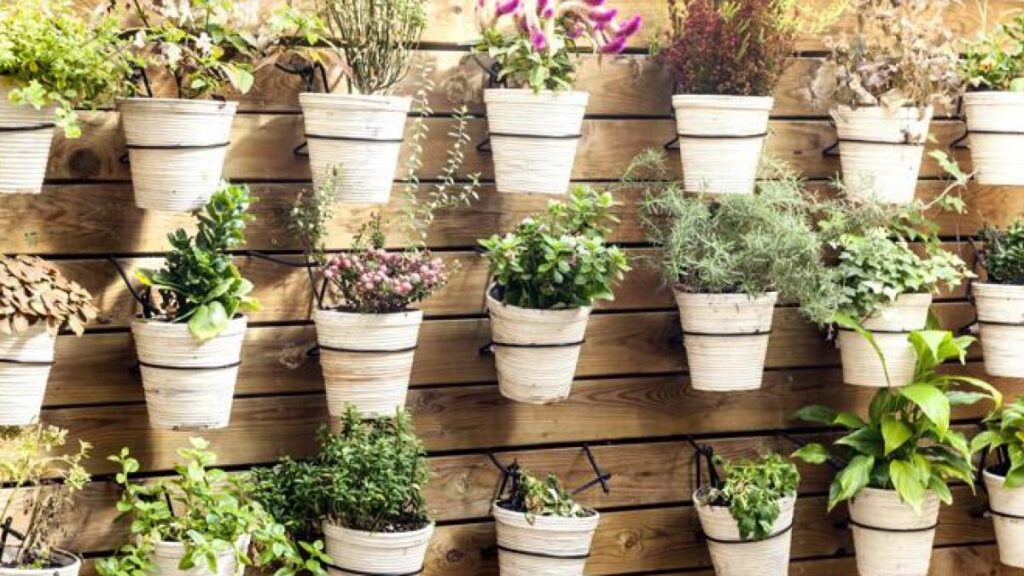 Guía completa de plantas para jardines verticales en espacios pequeños