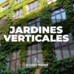 Guía para crear un jardín vertical: Crea tu paraíso verde en exteriores