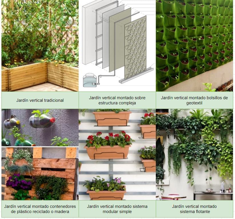 Guía para crear un jardín vertical único en exteriores