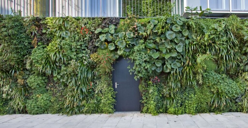 Ideas creativas para un jardín vertical estético en tu fachada