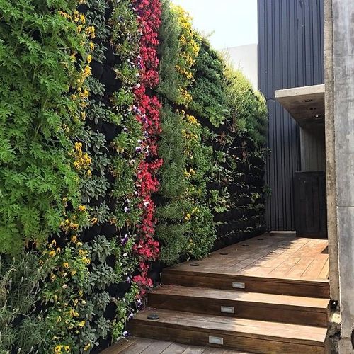 Inspírate con ideas innovadoras para jardines verticales exteriores