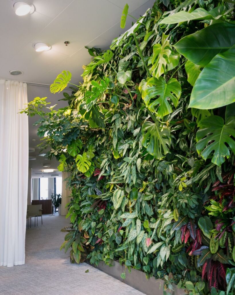 Instala un jardín vertical en exteriores: costo promedio y belleza verde