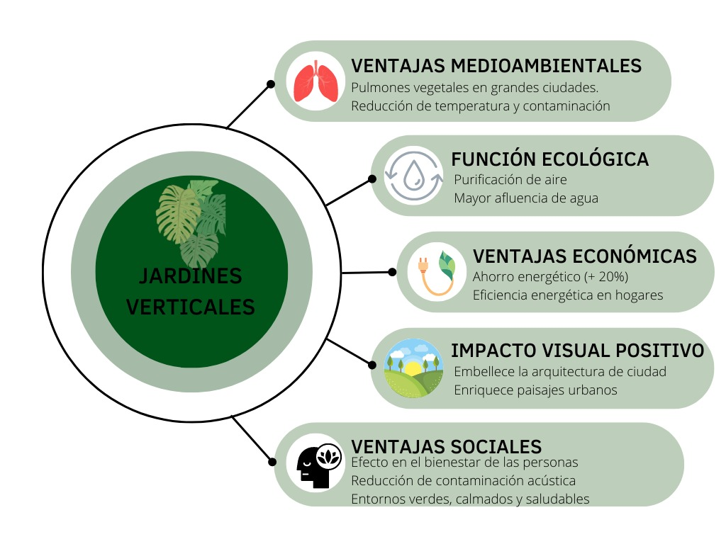 Jardines verticales: beneficios para el medio ambiente y la salud
