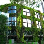 Jardines verticales comunitarios: solución verde en áreas urbanas