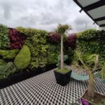 Mantén tu jardín vertical en la terraza con éxito