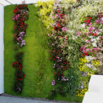 Mantén un jardín vertical saludable y terapéutico con poco esfuerzo