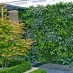 Mantenimiento de plantas colgantes en jardines verticales: consejos prácticos