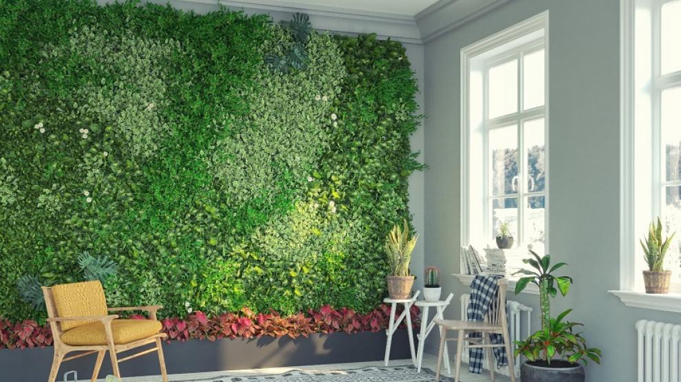 Maximiza tu jardín vertical: crea un oasis verde en poco espacio