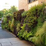 Mejora el aire con jardines verticales: descubre cómo funcionan