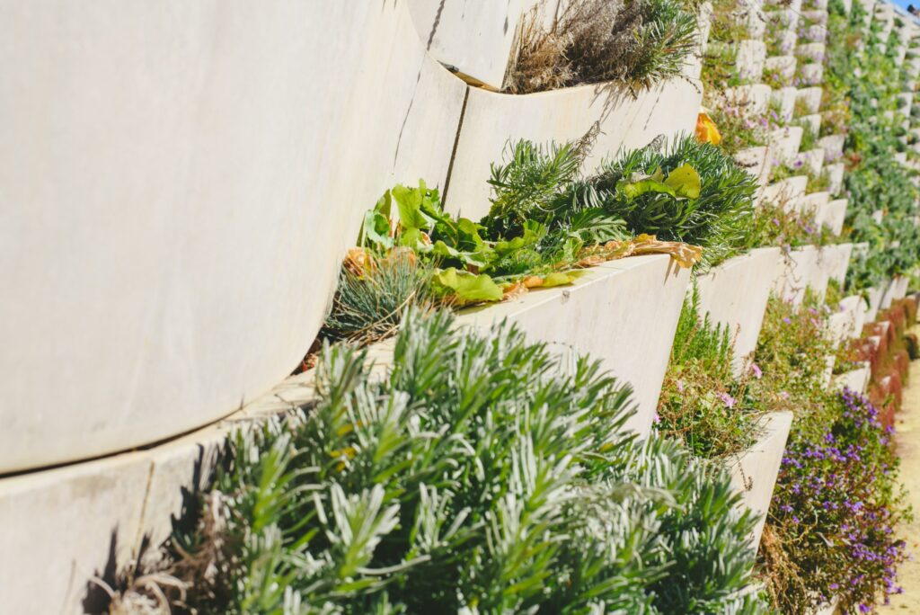 Opciones eco para jardines verticales exteriores: sostenibles y prácticas
