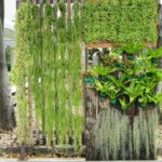 Plantas ideales para un jardín vertical exterior increíble