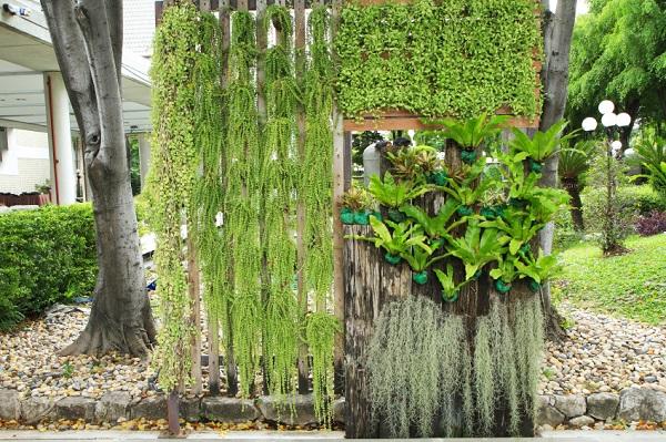 Plantas para jardines verticales: relajación y bienestar garantizados