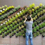 Prepárate para un jardín vertical perfecto: El primer paso es clave