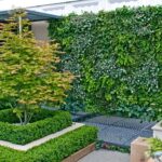 Prevención y tratamiento de problemas comunes en jardines verticales