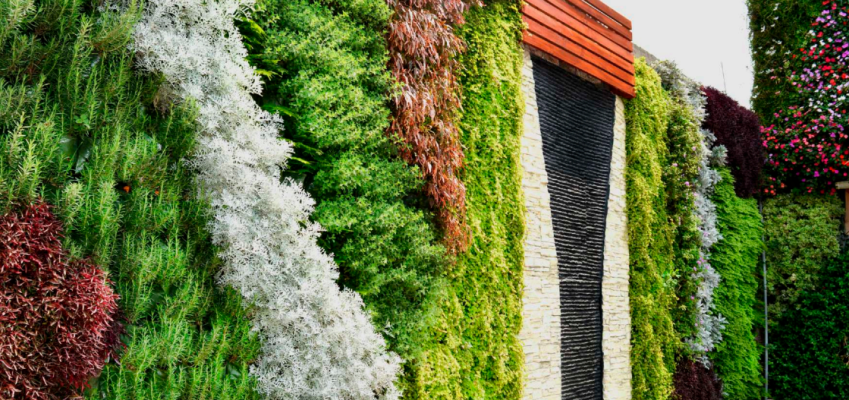 Transforma tus muros y fachadas con un jardín vertical: embellece tu hogar ahora